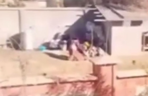 Кадр из видео