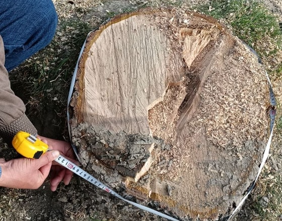 Фото: Управление экологии Самаркандской области