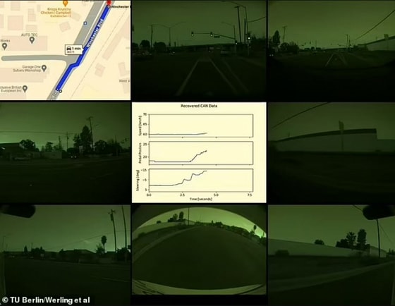 Фото: Berlin Werling et al