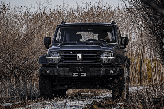 Фото: Great Wall