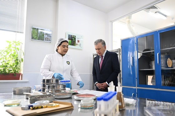 Фото: Пресс-служба президента