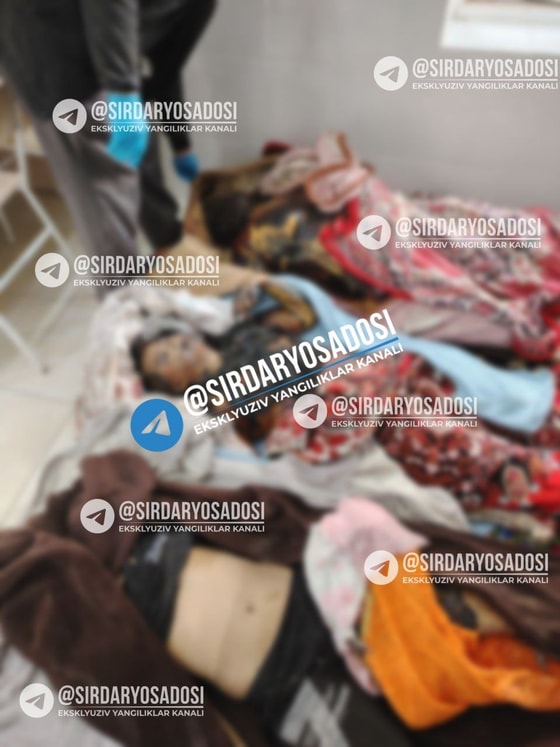 Фото: T.me/sirdaryosadosi