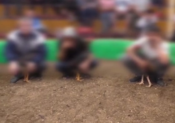 Кадр из видео