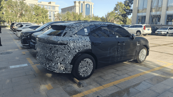 Фото: carnewschina