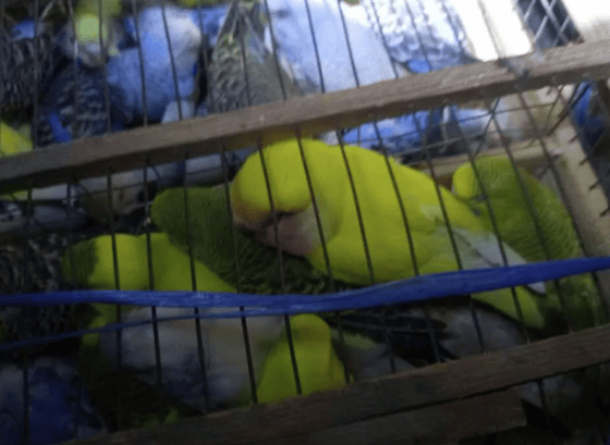 Фото: Sputnik Кыргызстан