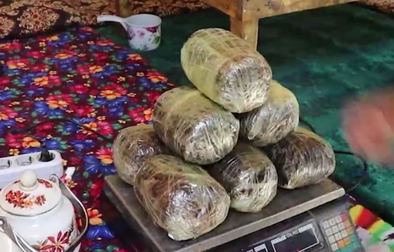 Ситуативное фото / СГБ