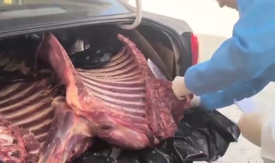 Кадр из видео