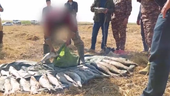 Кадр из видео