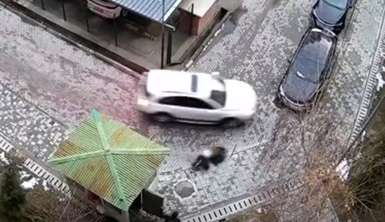 Кадр из видео