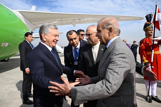 Фото: Пресс-служба президента