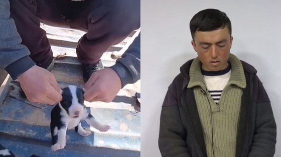 Кадры из видео