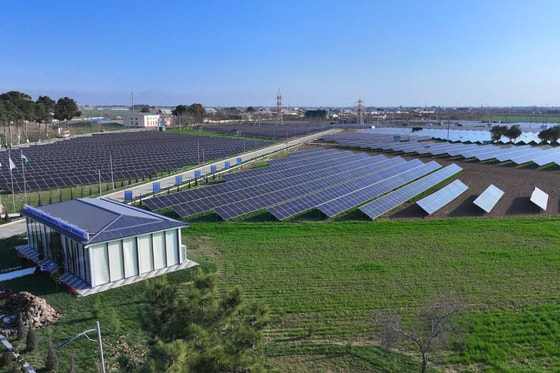 Фото: Пресс-служба президента