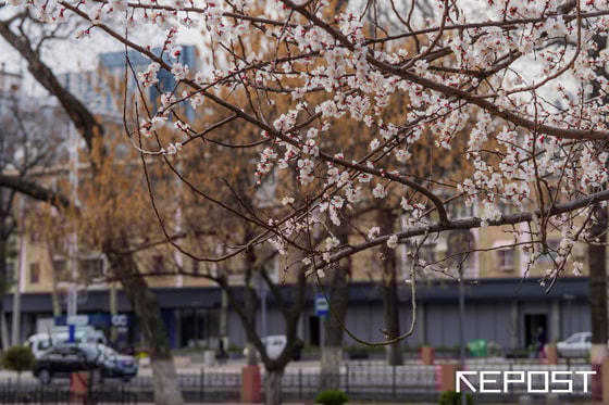 Фото: Repost.uz