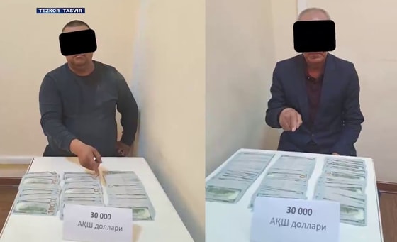 Кадр из видео