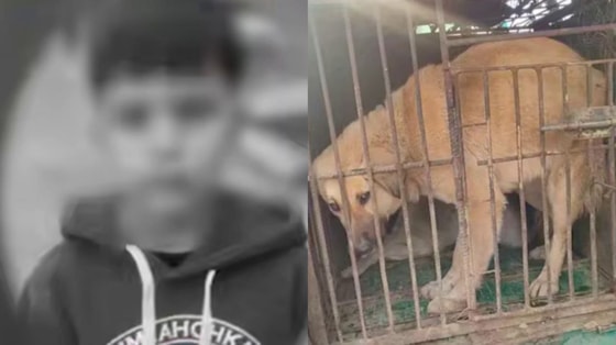 Кадры из видео