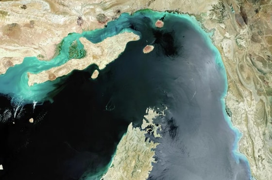 Фото: Getty Images