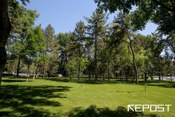 Ситуативное фото / Repost.uz