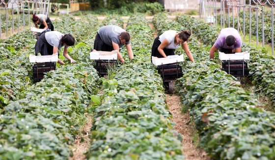 Ситуативное фото / Открытые источники