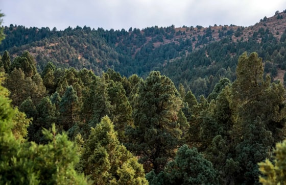 Фото: Комитет по экологии
