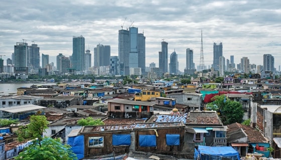 Фото: Shutterstock