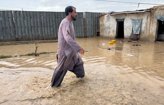 Фото: The Boston Globe