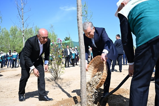 Фото: Пресс-служба президента