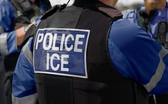 Фото:&nbsp;petrieflom.law.harvard.edu