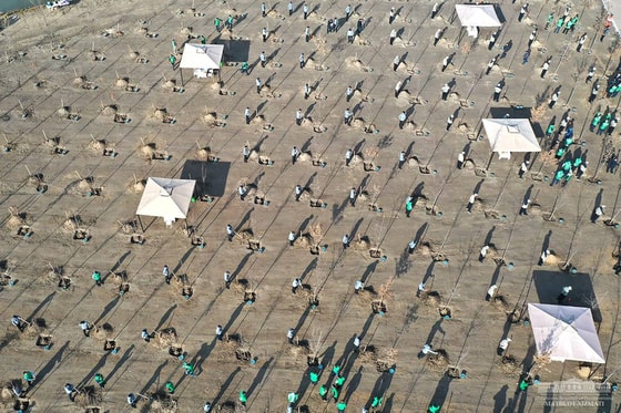 Фото: Пресс-служба президента