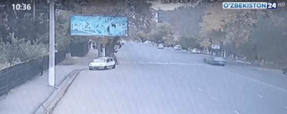 Фото: Кадр из видео