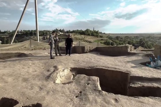 Кадр из видео