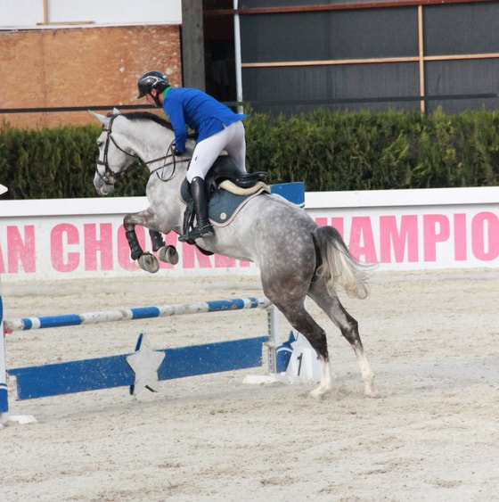Фото: Федерация коневодства и конного спорта Узбекистана