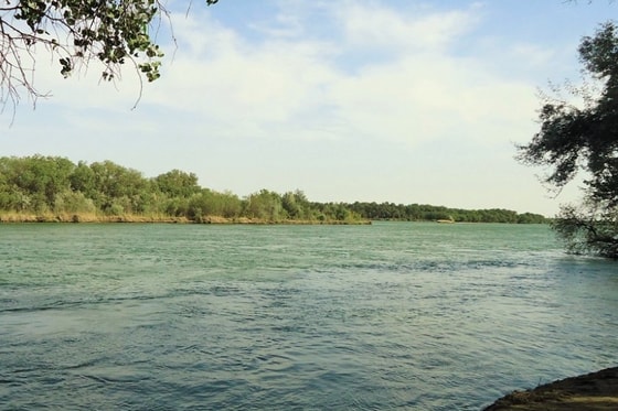 Фото:&nbsp;shymkentsweettexas.com