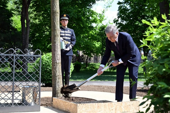 Фото: Пресс-служба президента