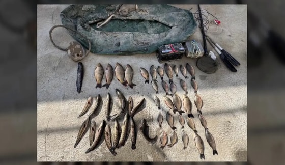 Кадр из видео