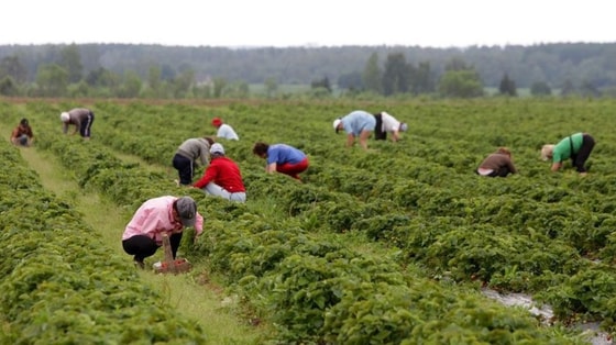 Ситуативное фото / Открытые источники