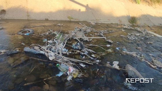 Река Чирчик. Фото: Repost.uz