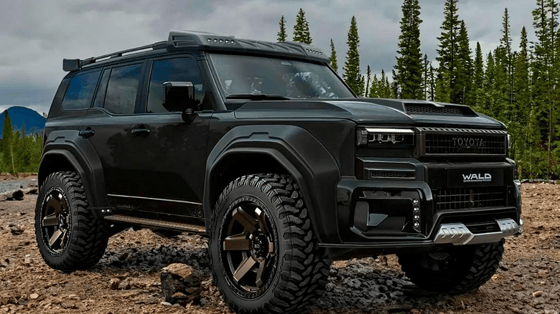 Фото:&nbsp;Wald International