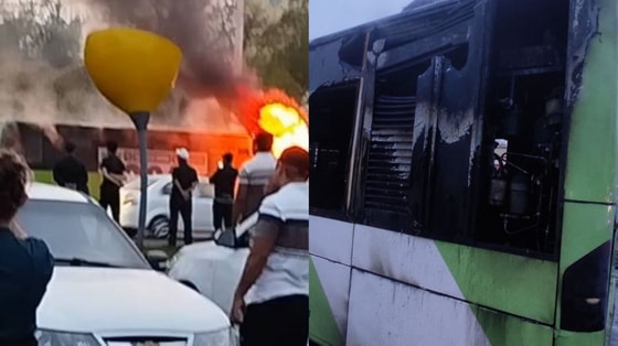 Фото: Кадр из видео, УЧС Ташкента