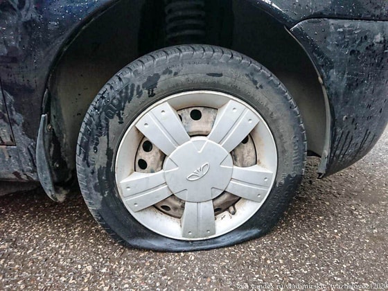 Фото: Яндекс.Дзен