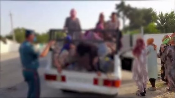 Кадр из видео