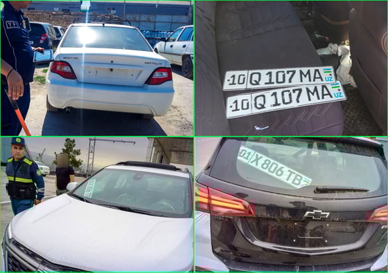 Фото: Автострада