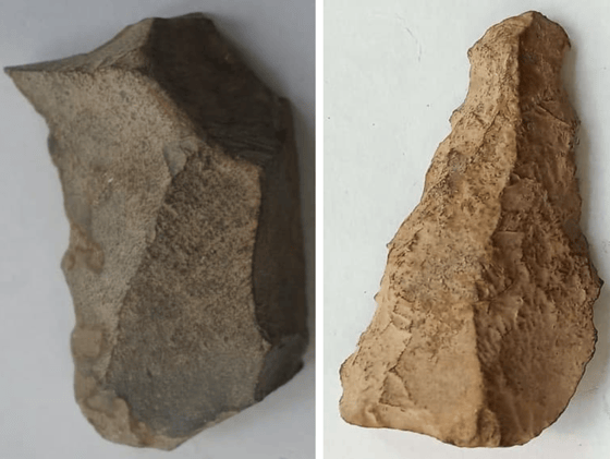 Фото: Академия наук Узбекистана