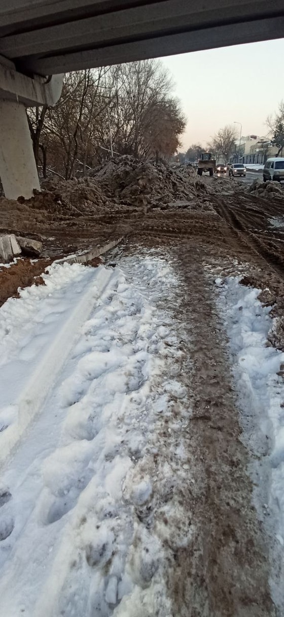 Фото: Tashkent_Land