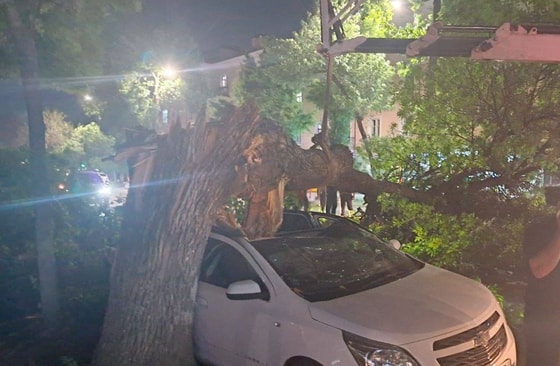 Фото: Хокимият Мирабадского района