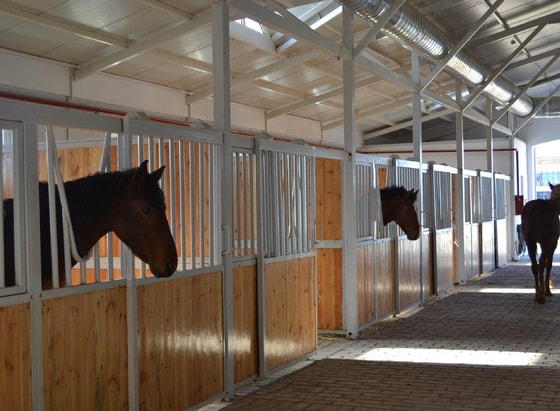 Фото: пресс-служба УВД Джизакской области