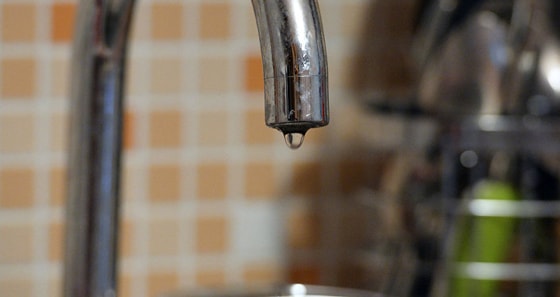 Фото: Алексей Мальгавко