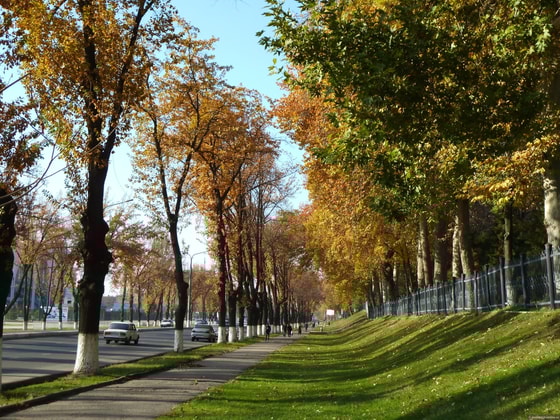 Фото:&nbsp;avebest.tourister.ru