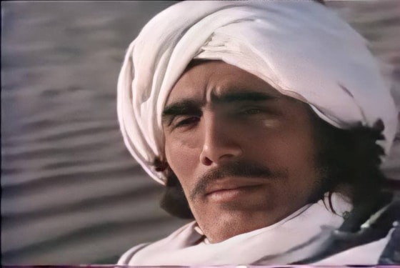 Фото: zen.yandex.ru