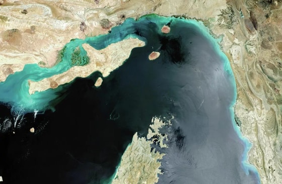 Фото: Getty Images