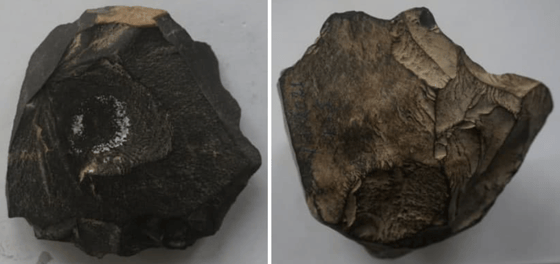 Фото: Академия наук Узбекистана